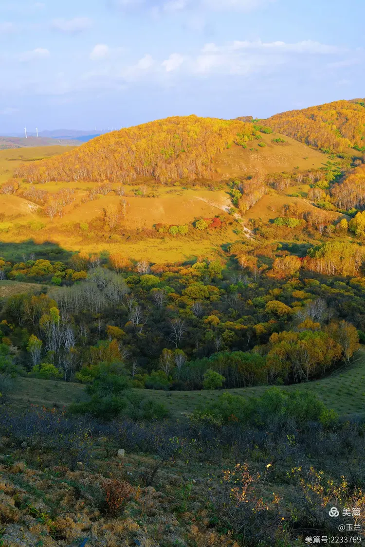 秋游御道口草原森林风景区